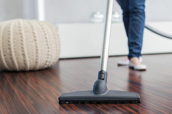Price of Vacuum Cleaner with Motor from the Netherlands Increases 23% to $163 per Unit